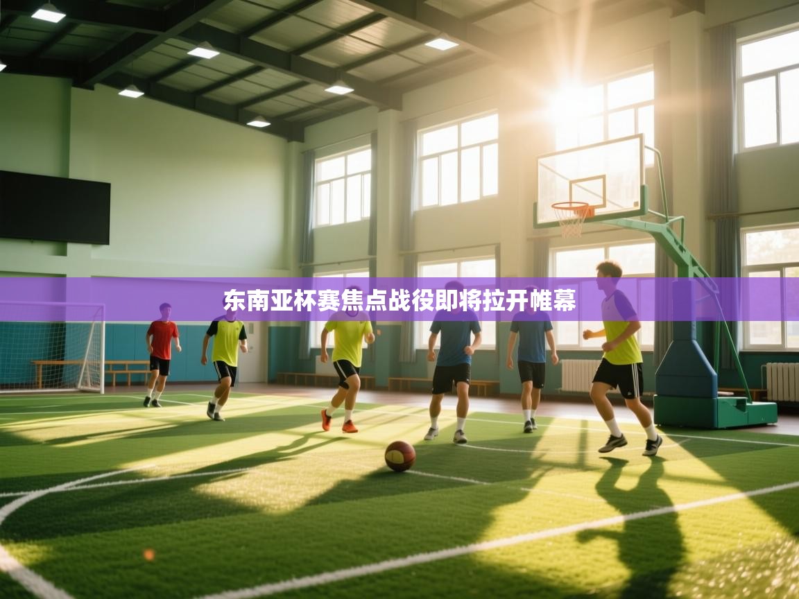 东南亚杯赛焦点战役即将拉开帷幕  第2张