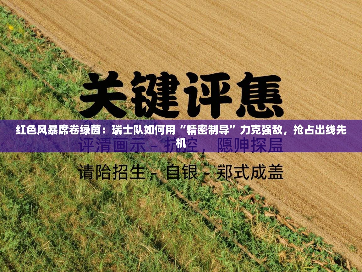 红色风暴席卷绿茵:瑞士队如何用“精密制导”力克强敌,抢占出线先机 第2张