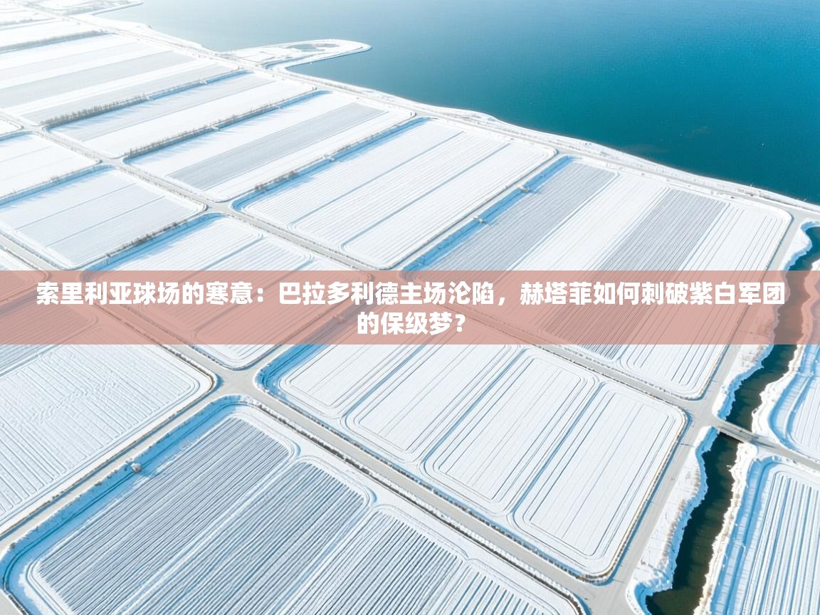 索里利亚球场的寒意：巴拉多利德主场沦陷，赫塔菲如何刺破紫白军团的保级梦？  第1张