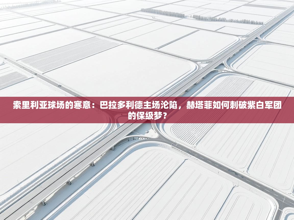索里利亚球场的寒意：巴拉多利德主场沦陷，赫塔菲如何刺破紫白军团的保级梦？  第2张